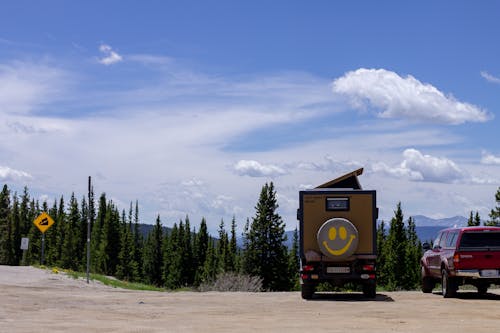 Camper Van with Smiley Face on Treeline
