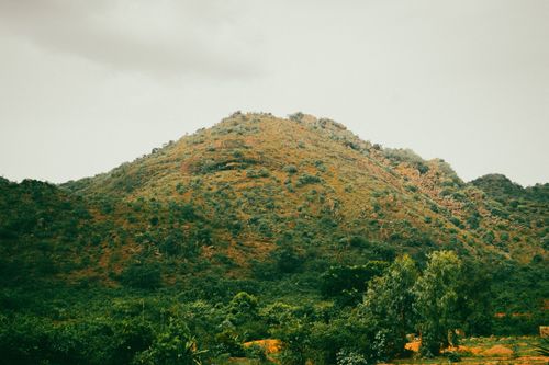 Free A scenic view of a lush green hill surrounded by dense forest, perfect for nature lovers. Stock Photo