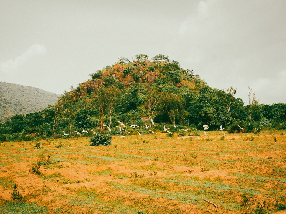 Asili Retreats 3