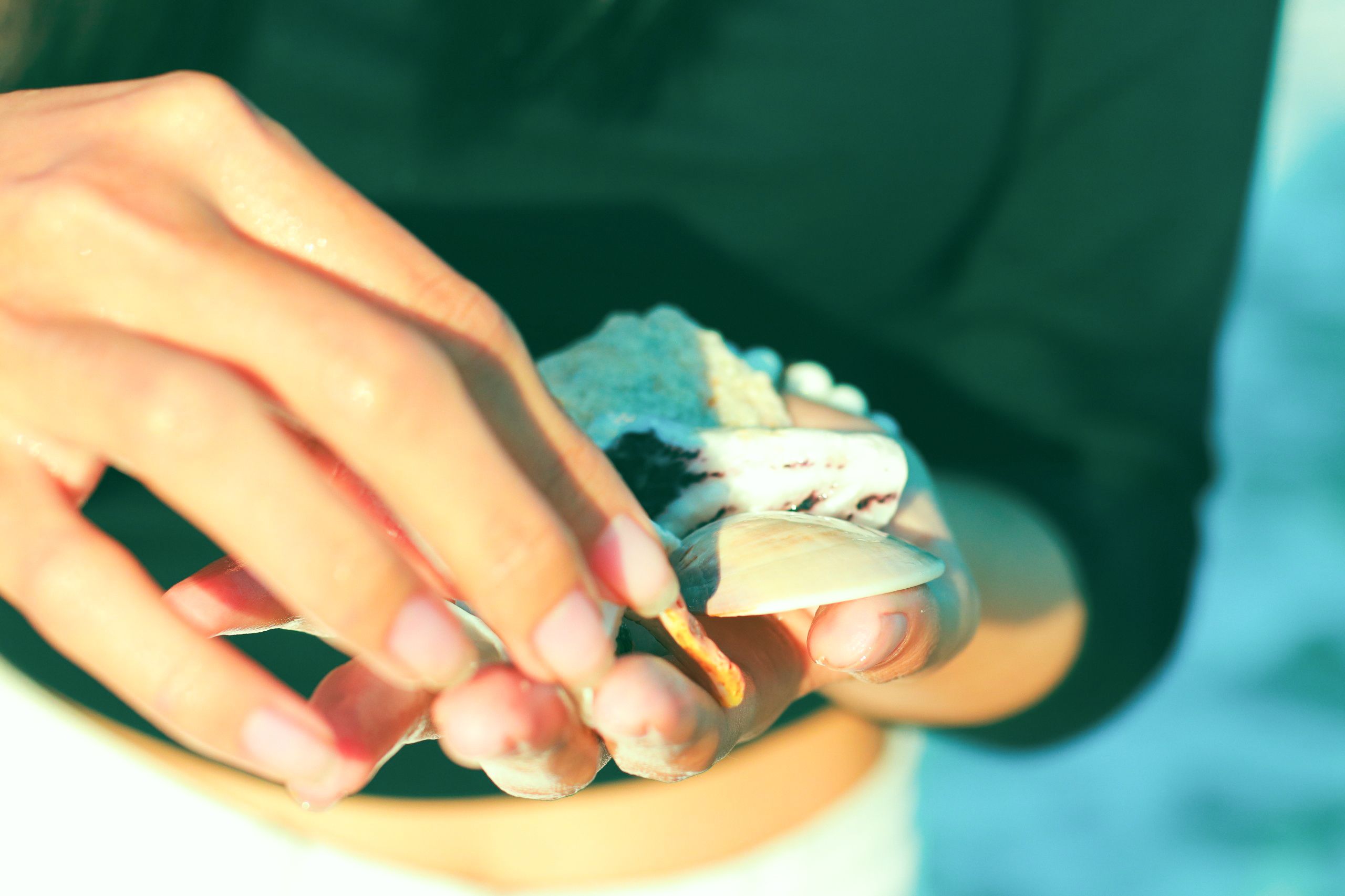 A woman's hands holding seashells at the beach in bright sunlight, capturing the essence of summer.