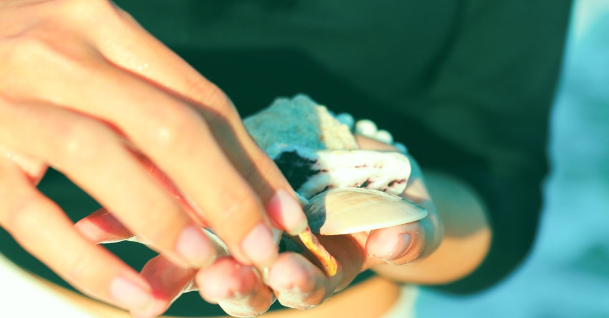 A woman's hands holding seashells at the beach in bright sunlight, capturing the essence of summer.