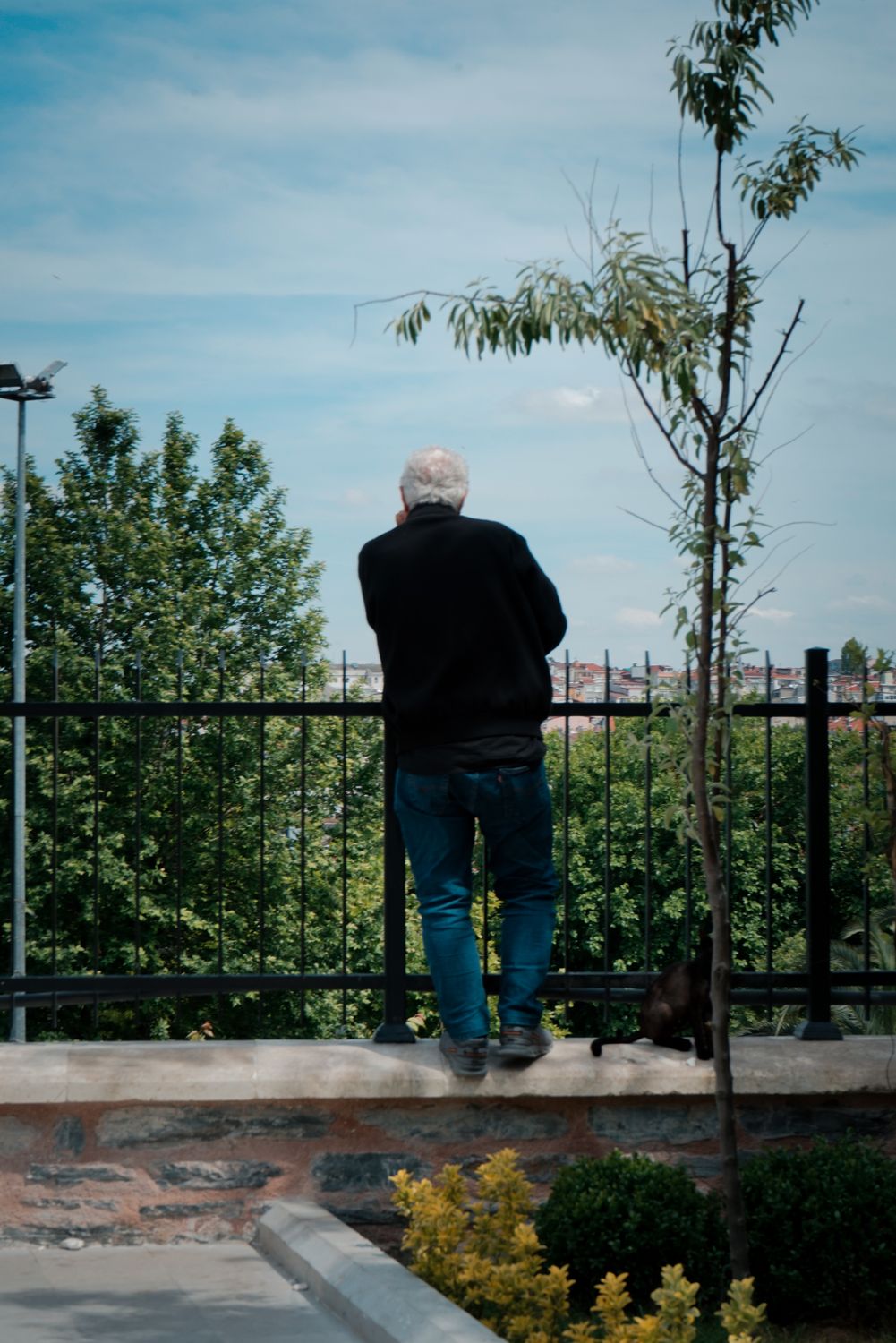 Foto de stock gratuita sobre adulto mayor, aire fresco, al aire libre ...