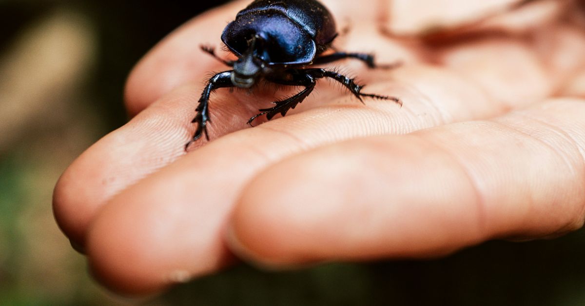 Los 10 animales con capacidades biológicas que parecen de otro mundo Los 10 animales con capacidades biológicas que parecen de otro mundo