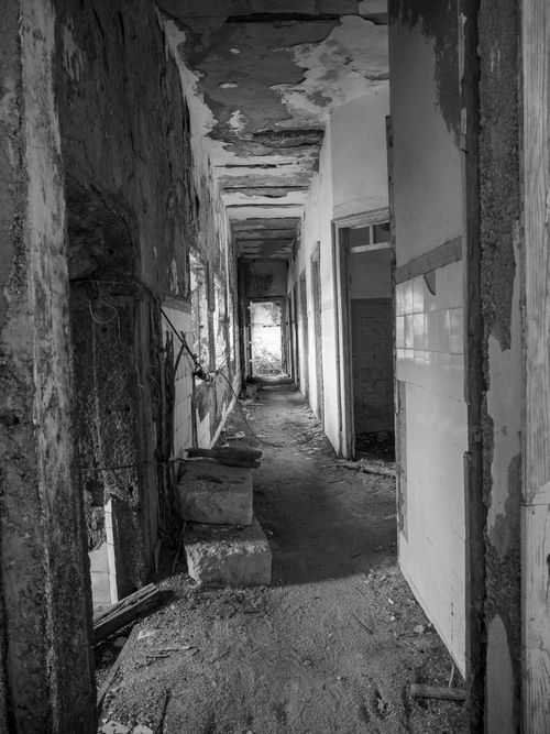 Free A haunting black and white image of an abandoned building's decaying corridor. Stock Photo