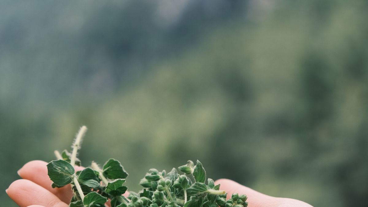 Rituels de beauté naturels avec des ingrédients du jardin