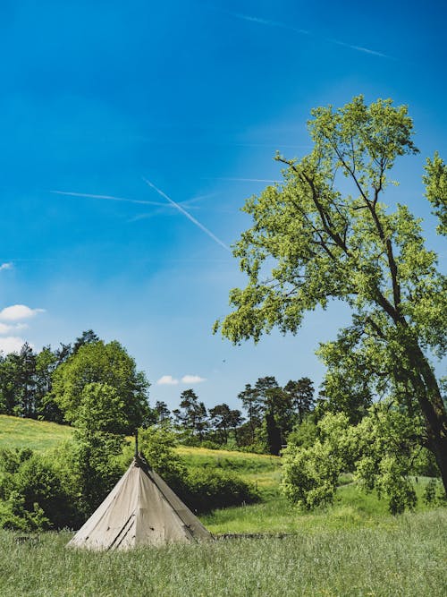 A teepee in a field with trees and grass