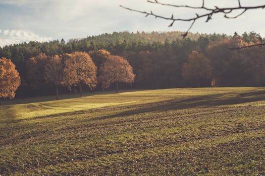 Nature wallpaper of landscape, nature, space, field