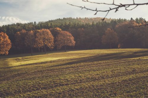 Free Serene autumn field with colorful foliage and forested hills under a bright sky. Stock Photo
