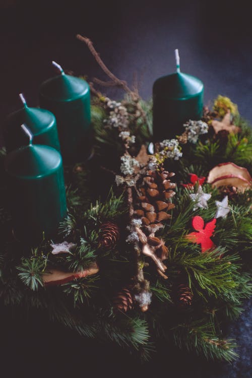 Free stock photo of candles, christmas, conifer