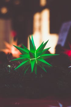 一个绿色星星装饰品的特写，被节日灯光照亮，是圣诞节主题的理想选择