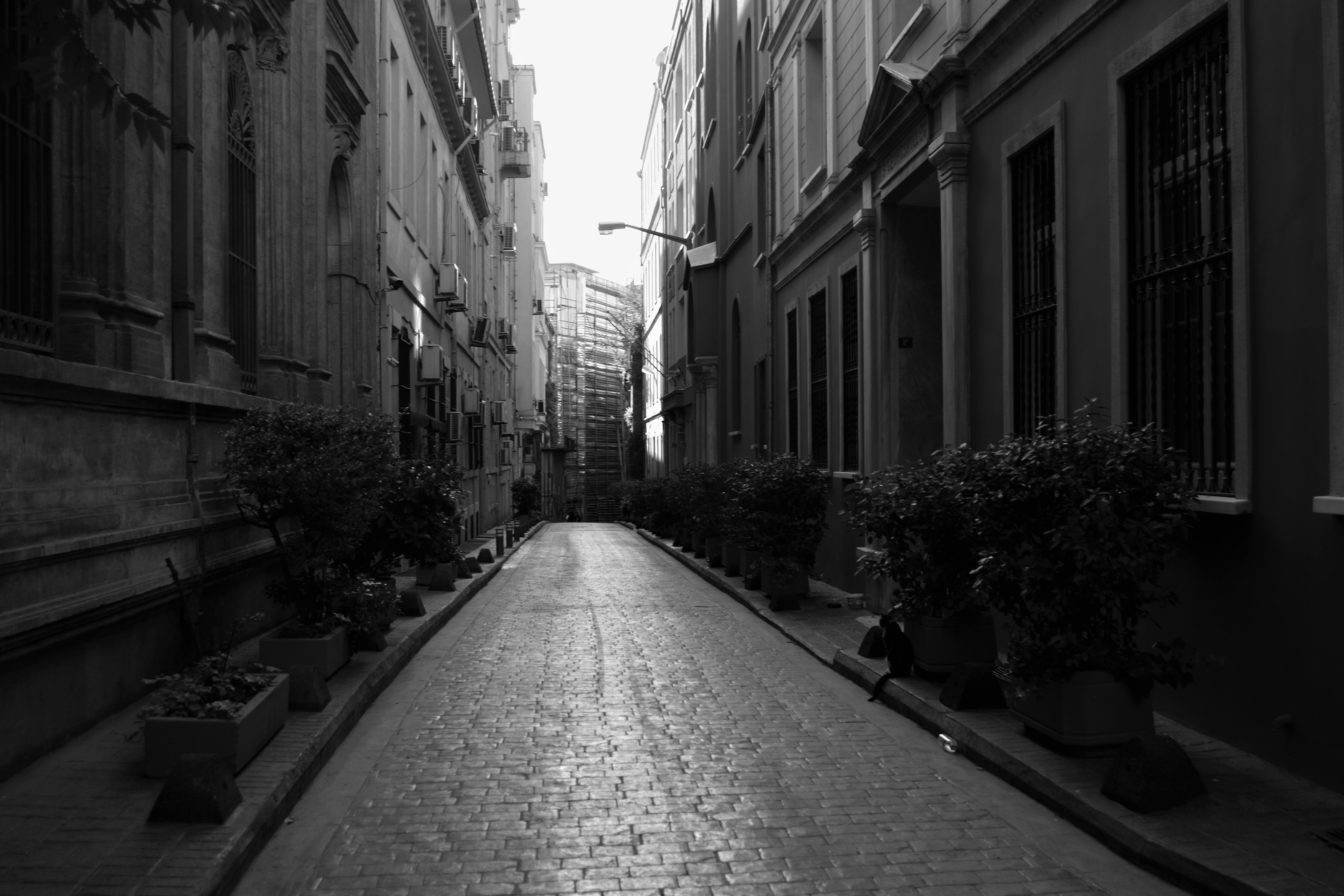 Explore a quiet urban alleyway in Abu Dhabi, captured in black and white.