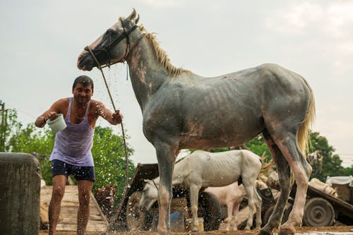 Man Standing With Horse