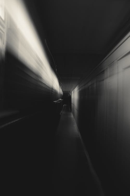 Darmowe zdjęcie z galerii z czarno-biały, długa ekspozycja, eksperymentalny