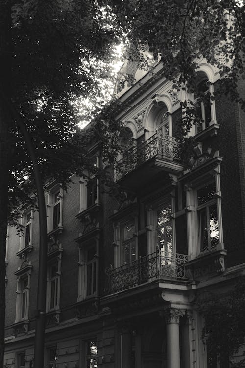 Darmowe zdjęcie z galerii z budynki, czarno-biały, drzewa