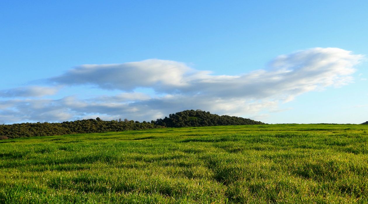 View of a Green Meadow under a Blue Sky · Free Stock Photo
