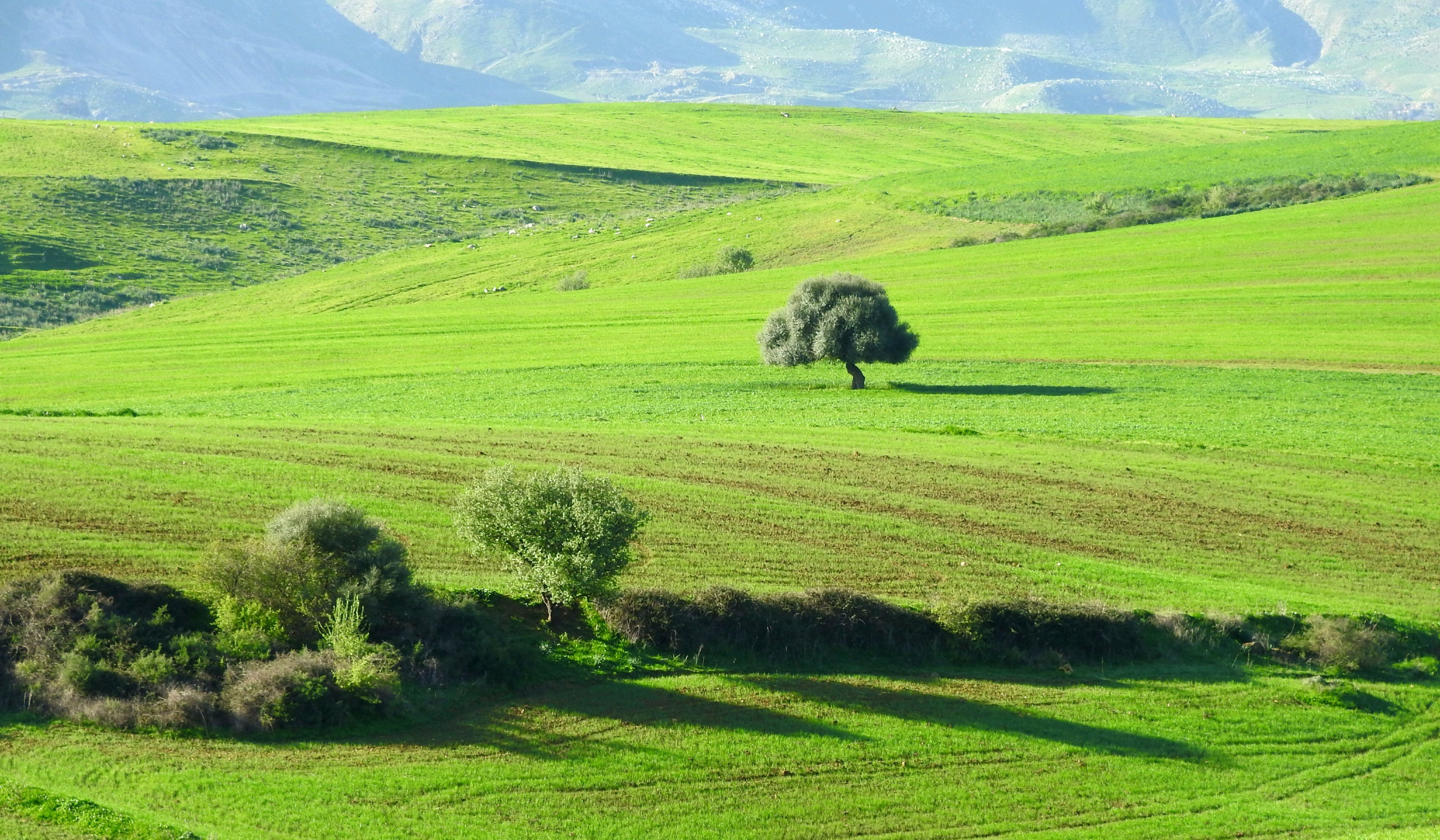 Scenic View of Green Hills · Free Stock Photo