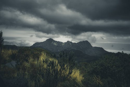 Ecuadorian mountains