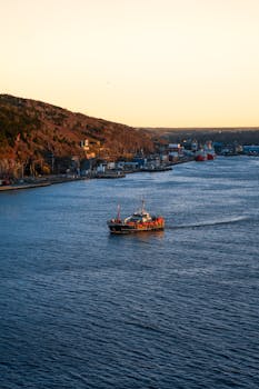 Boat navigating St. John's harbor at sunset with scenic hills and skyline in view.