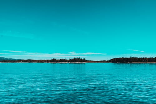 無料 緑の湖の風景写真 写真素材