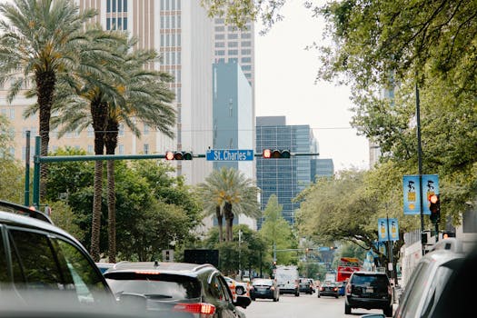 New Orleans, United States photo 15