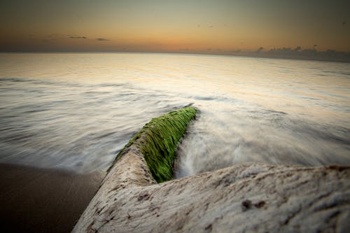 the black sand beach