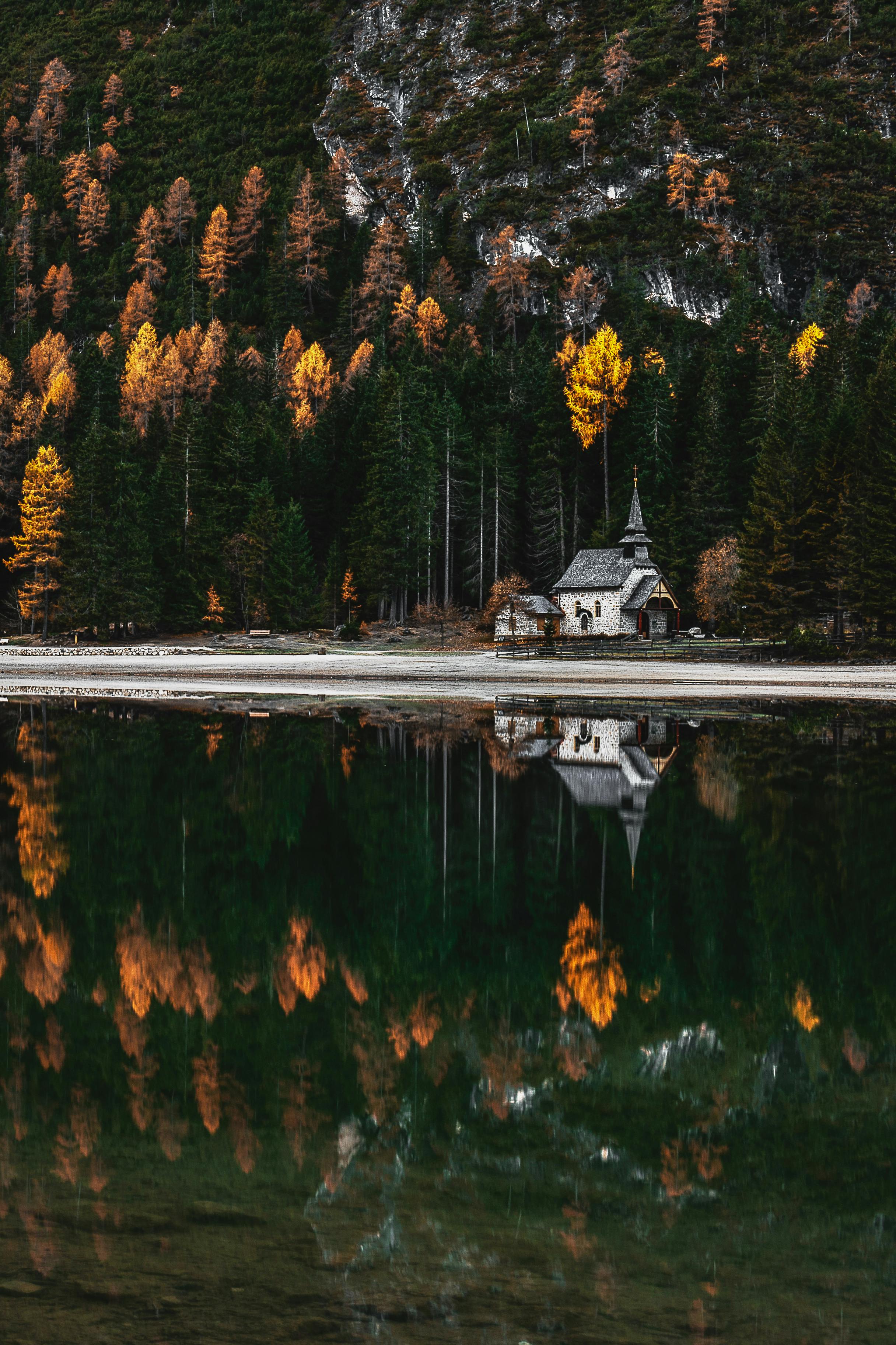 house near body of water and trees