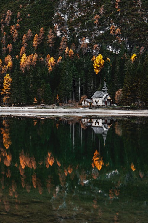 Free House Near Body of Water and Trees Stock Photo