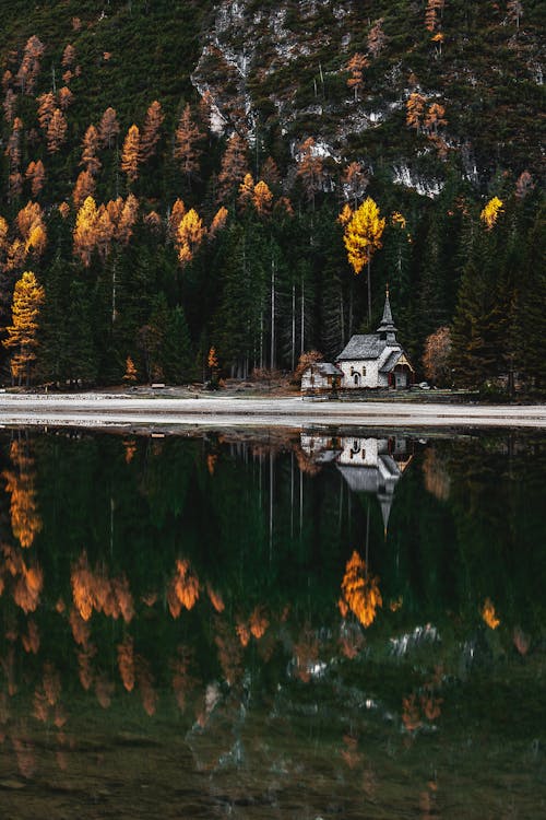 House Near Body of Water and Trees