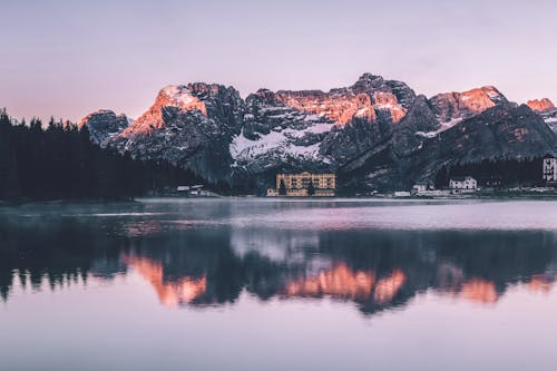 + ảnh đẹp nhất về Núi Rừng · Tải xuống miễn phí 100% · Ảnh có sẵn  của Pexels