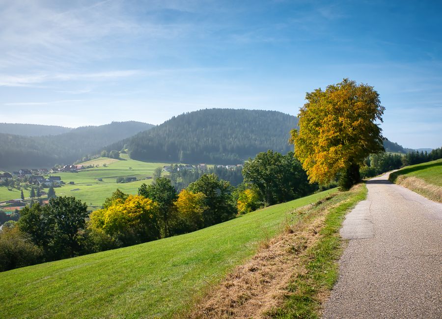 Idyllic countryside road in Baiersbronn, Germany with scenic hills and lush greenery.