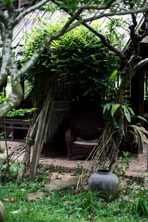 A chair and a table in a garden