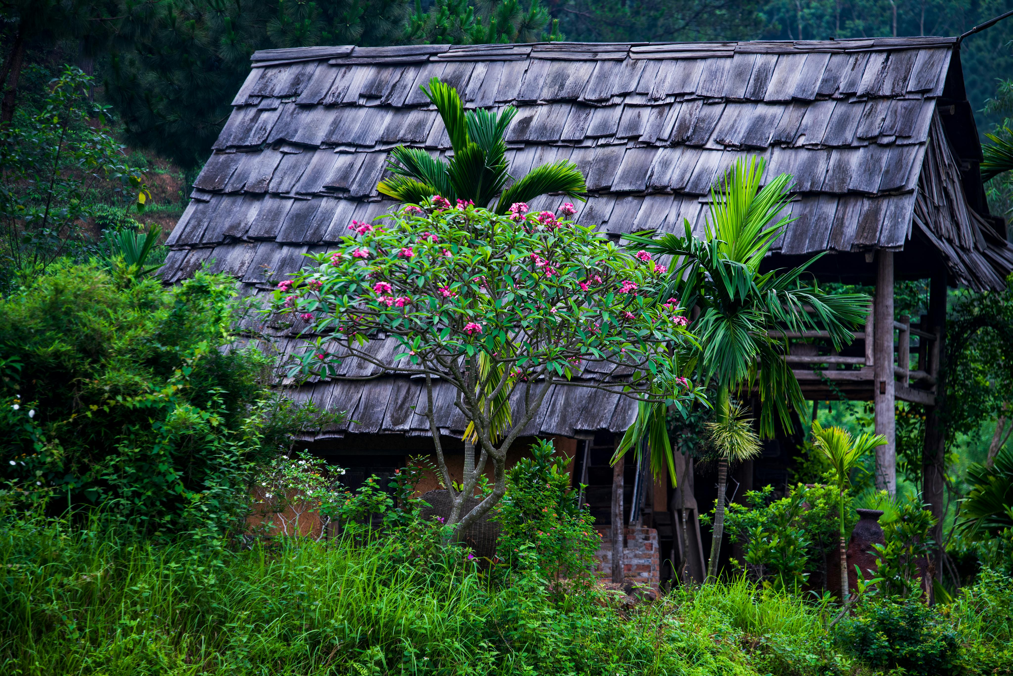 Rustic Bungalow by the Trees · Free Stock Photo, image size:1124x750