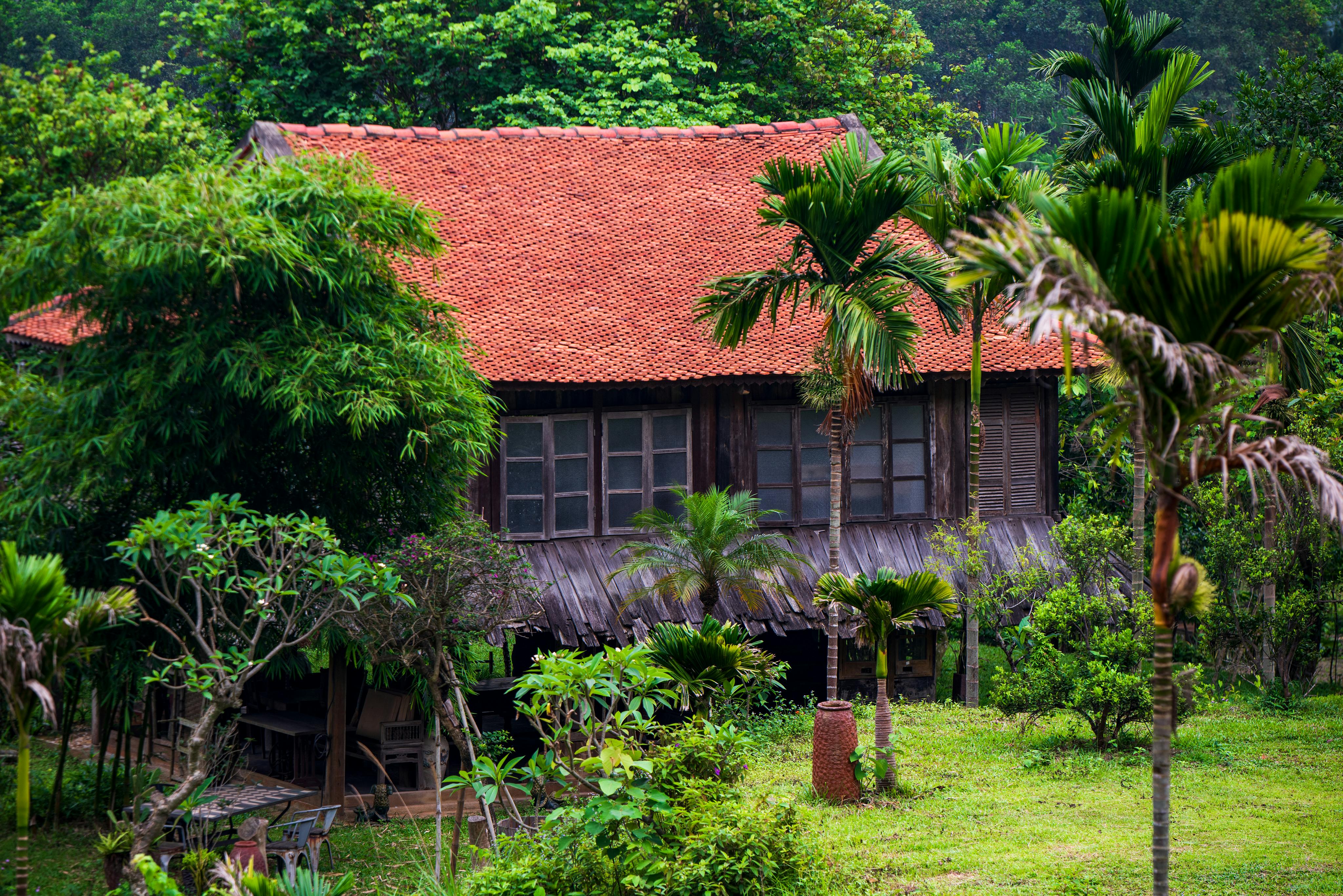Hydroseeded Lawn - hydroseeding services near me