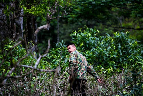 A soldier is walking through the woods