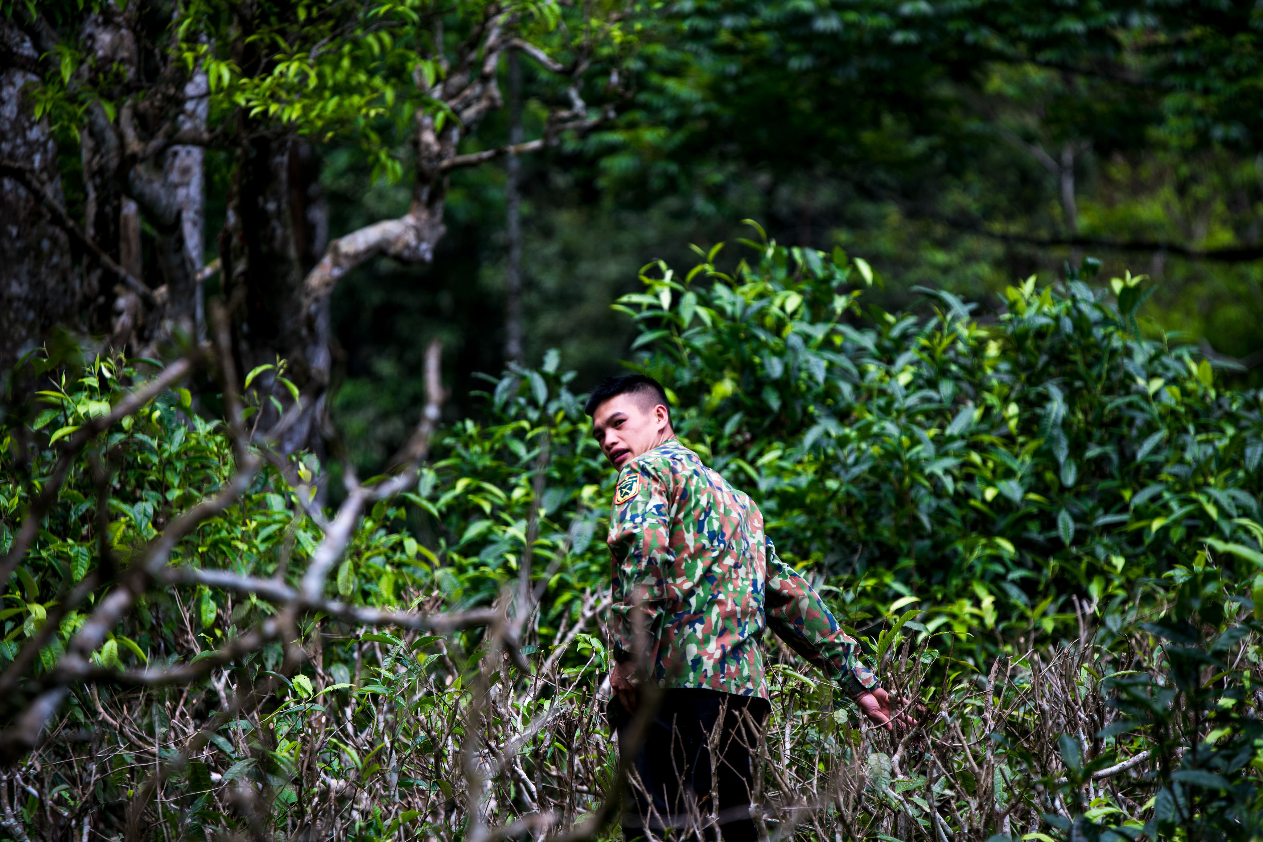 Man in a Uniform Walking Through the Swamp in the Forest · Free Stock Photo