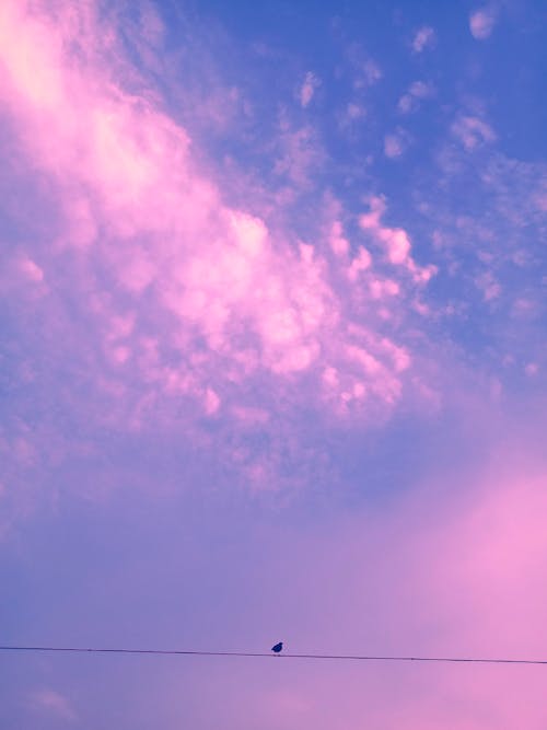 Foto stok gratis awan di langit, keadaan mendung, langit berwarna-warni