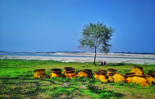 Two children sit near a solitary tree by a riverbank, with a serene landscape of sand and water stretching into the distance.