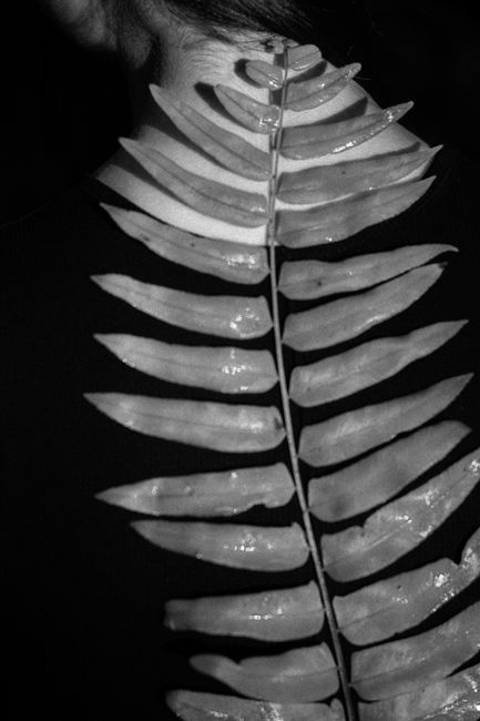 A black and white image of a fern leaf on a person's back, highlighting natural patterns.