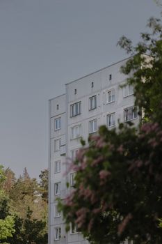 A minimalist urban apartment building framed by trees and soft light.