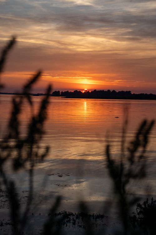 Free Serene sunset view over a calm lake in Saint-Armel, Bretagne, France, with silhouetted trees. Stock Photo