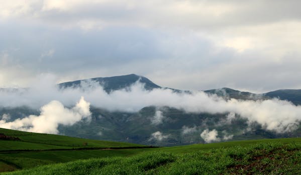 A serene landscape of rolling green hills and misty clouds in Algiers, Algeria.