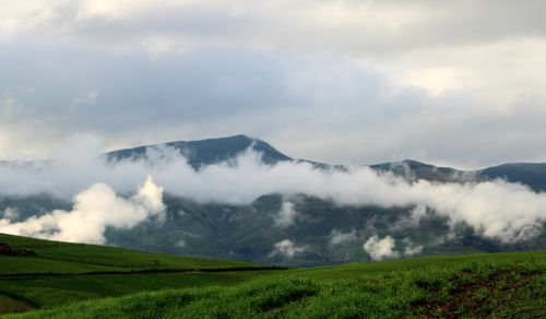 Free A serene landscape of rolling green hills and misty clouds in Algiers, Algeria. Stock Photo
