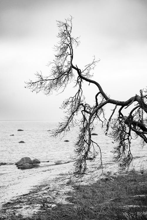 Ilmainen kuvapankkikuva tunnisteilla hiekkaranta, luonto, meri