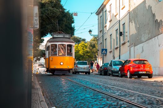 Arrábida coast and wine estate — Lisbon