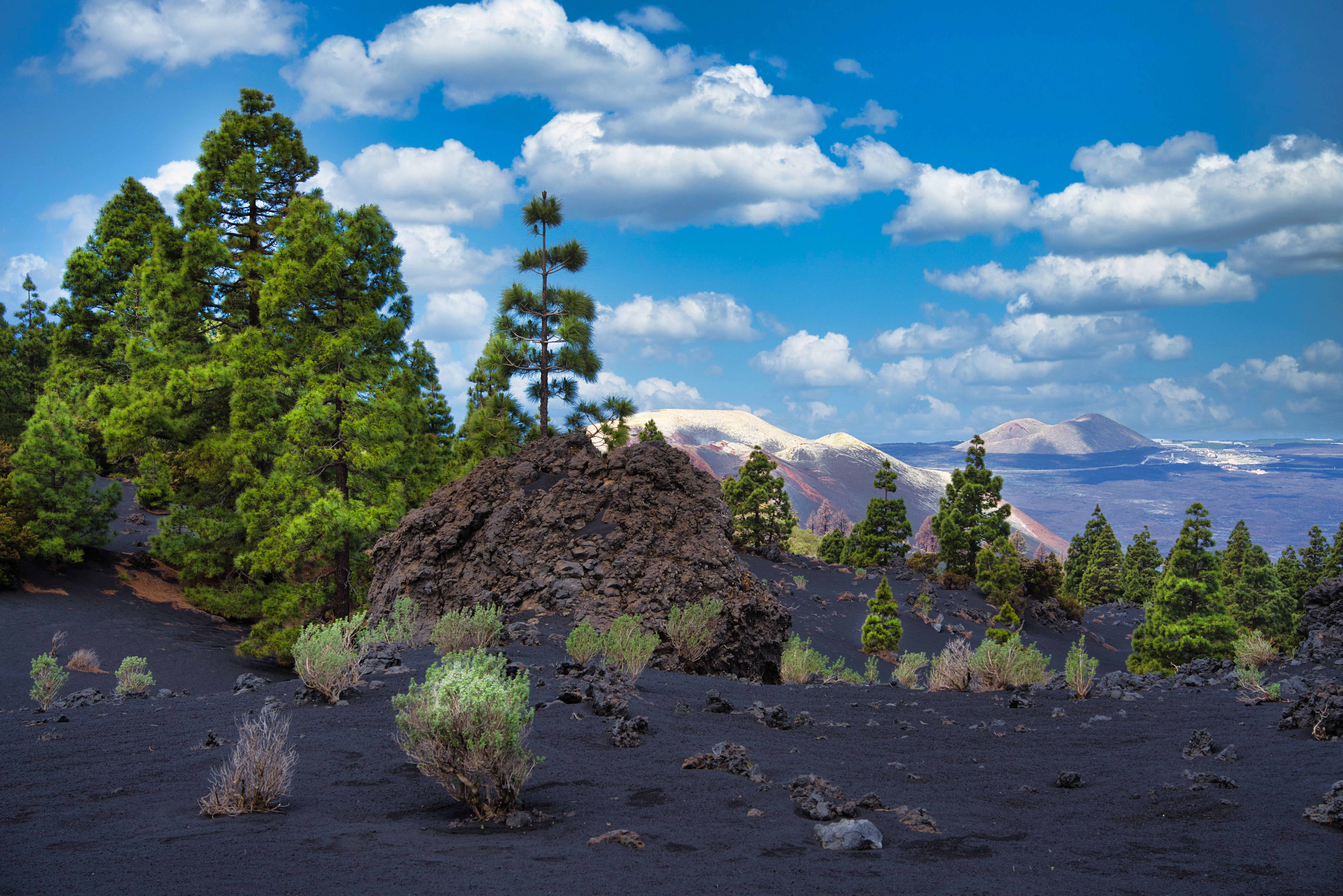 Scenic View of Trees and Volcano Peaks · Free Stock Photo