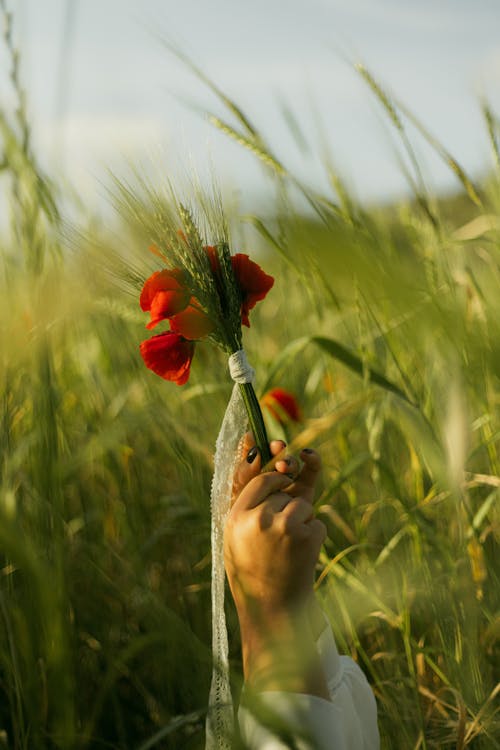 A person holding a flower in a field