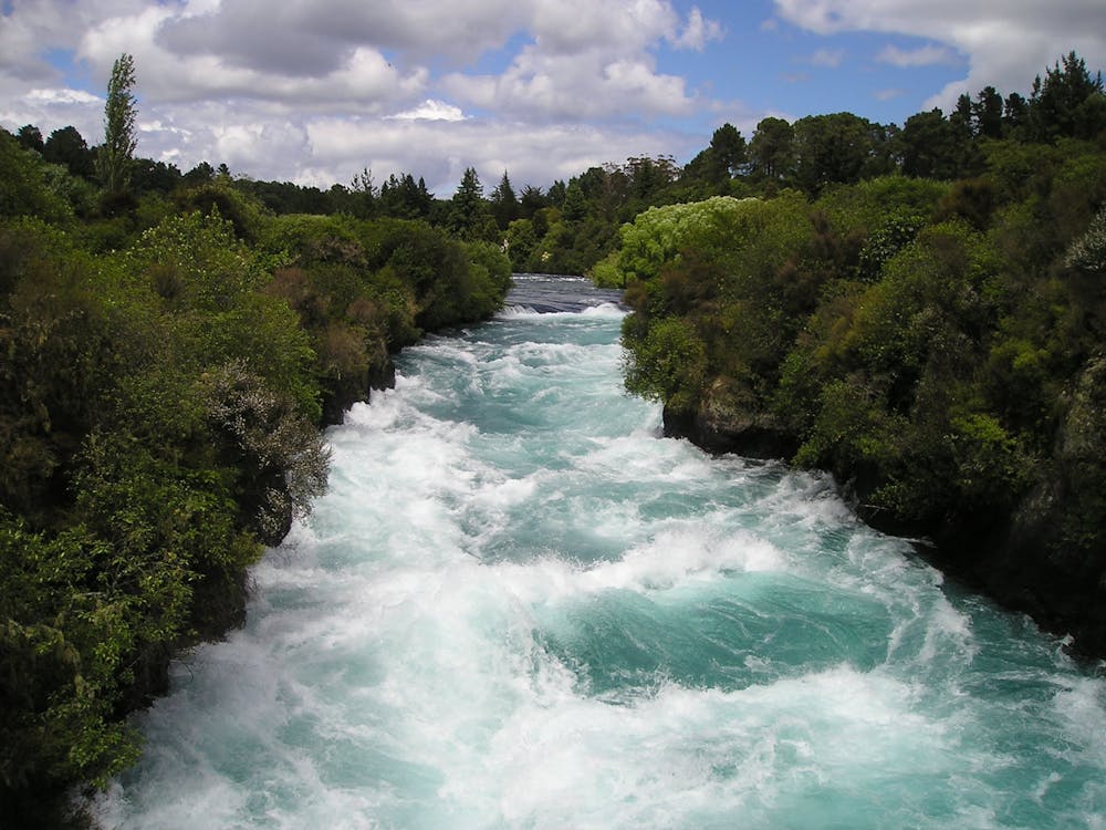 Free River Between Trees Stock Photo