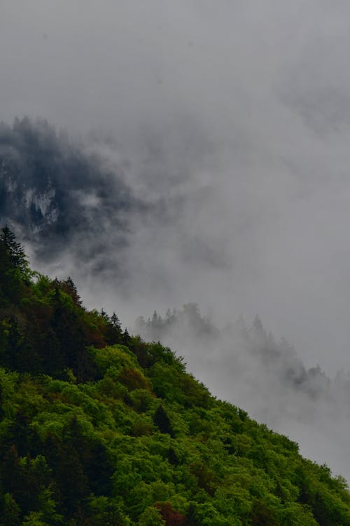 A view of the mountains covered in fog