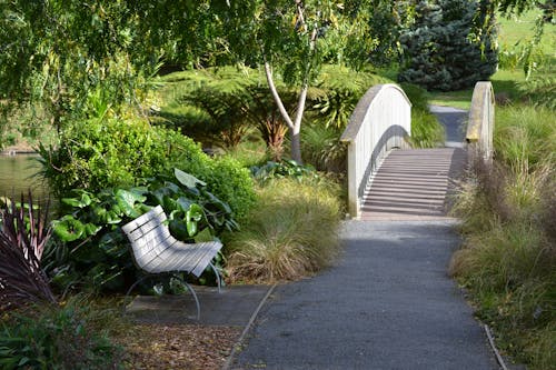 Free stock photo of foot bridge, park bench