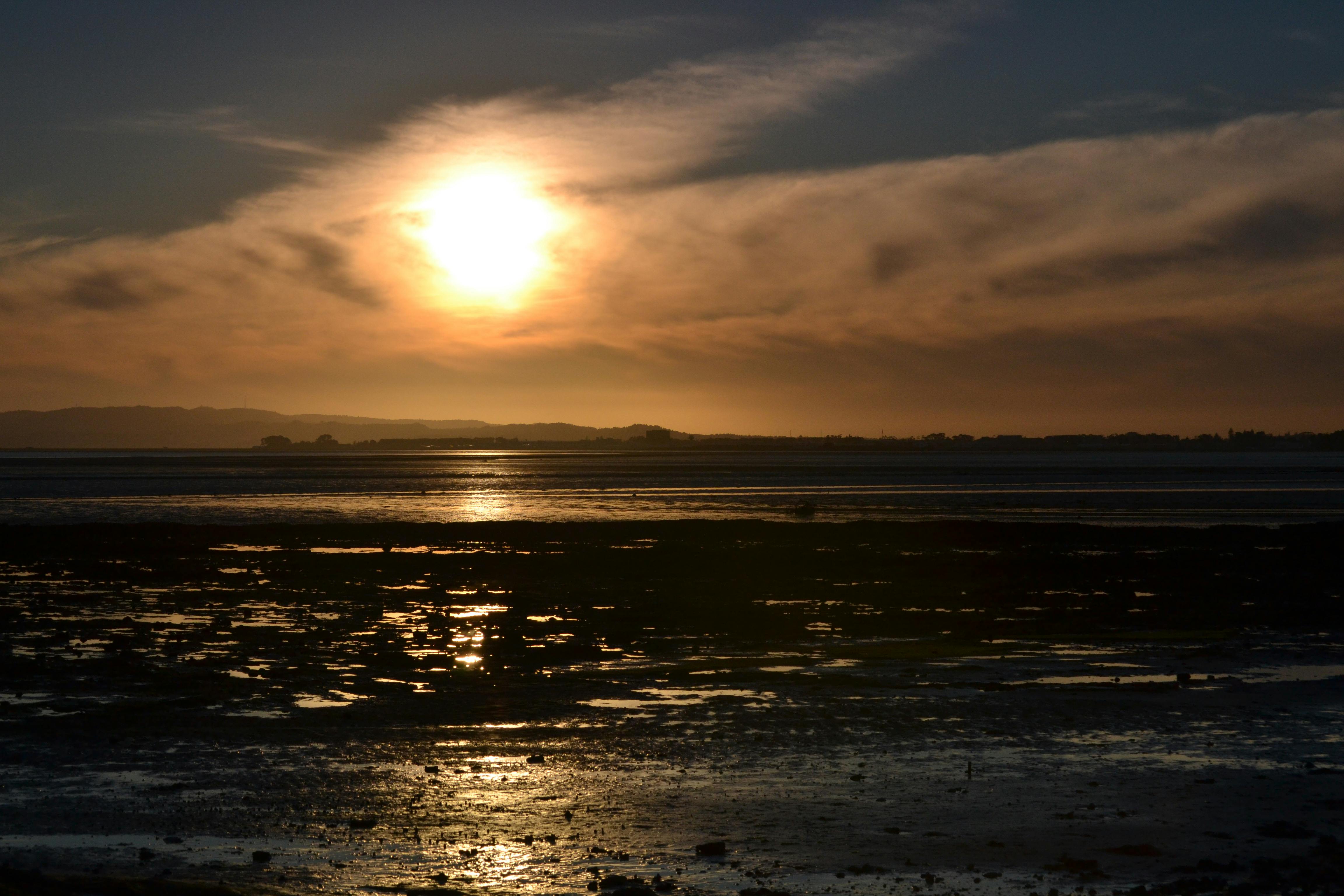 Free stock photo of beach, golden hour, Manukau Harbour